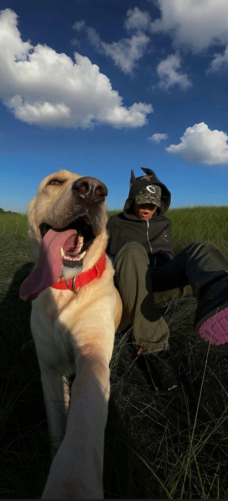 金毛犬吐舌奔跑草地少年相伴蓝白自然风景动物萌宠手机壁纸