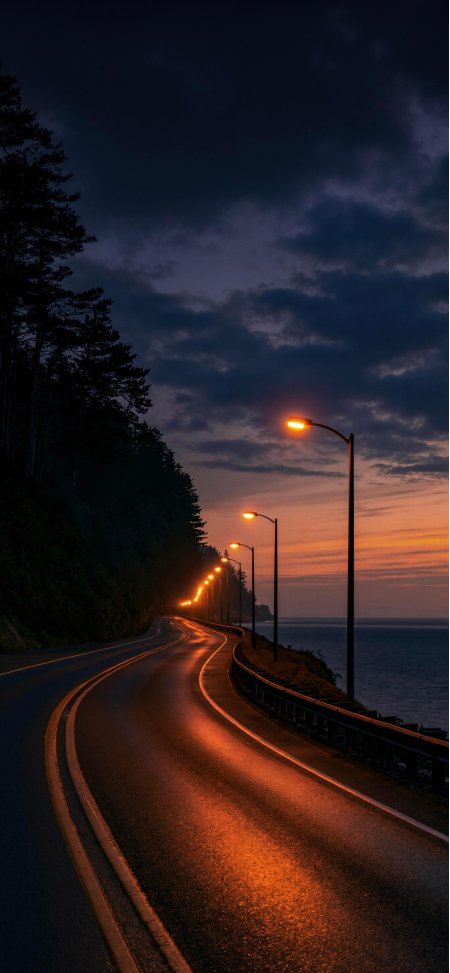 蜿蜒海岸公路路灯暖橙映照湿漉路面暗紫黄昏风景手机壁纸
