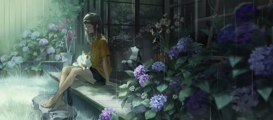 雨中少女坐廊台抱猫赏绣球花青紫唯美动漫电脑壁纸
