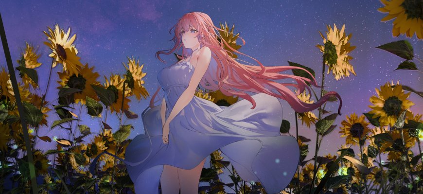 粉发少女蓝裙向日葵花田星空紫蓝动漫电脑壁纸