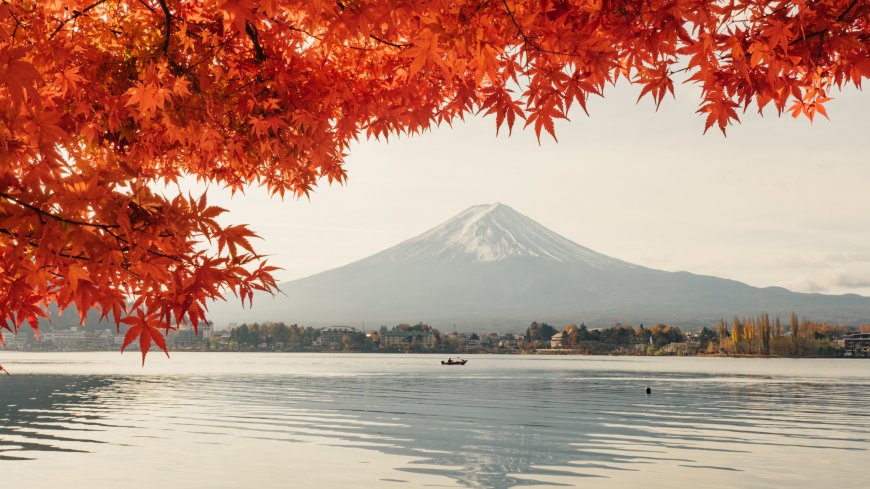 富士山秋日湖景红枫映衬雪顶蓝灰风景电脑壁纸