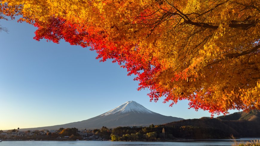 富士山秋日湖畔红黄枫叶映雪顶蓝白风景电脑壁纸