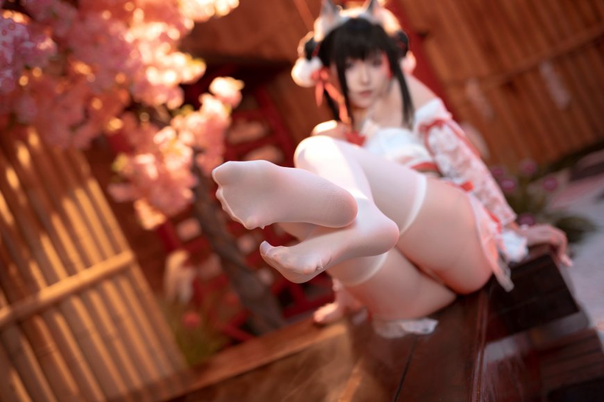 动漫cosplay猫耳白袜樱花背景粉暖人物摄影电脑壁纸