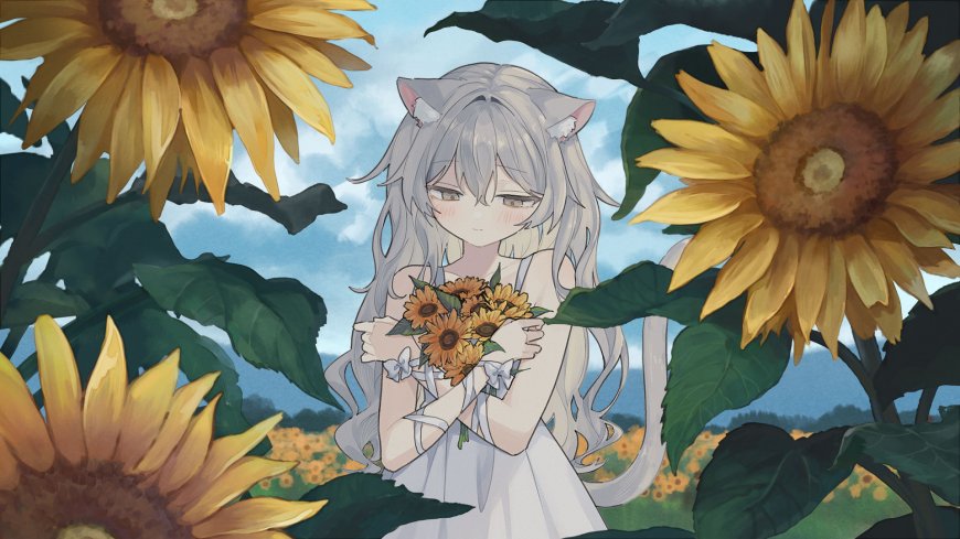 向日葵花田中银发猫耳少女怀抱小向日葵暖黄动漫电脑壁纸