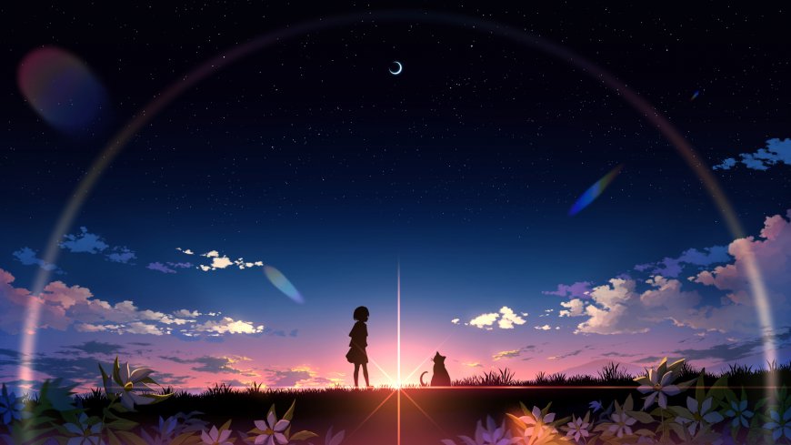 少女与猫仰望星夜彩虹光晕紫蓝渐变动漫电脑壁纸