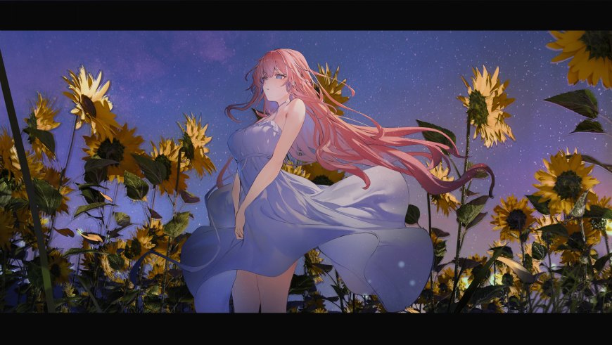 粉发少女蓝裙向日葵花田星空紫蓝动漫电脑壁纸