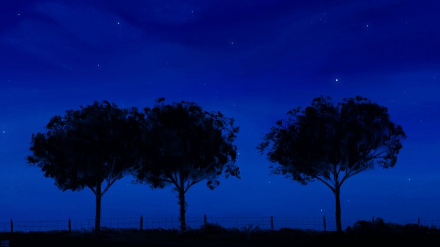 夜空繁星下三棵剪影树深蓝静谧风景电脑壁纸