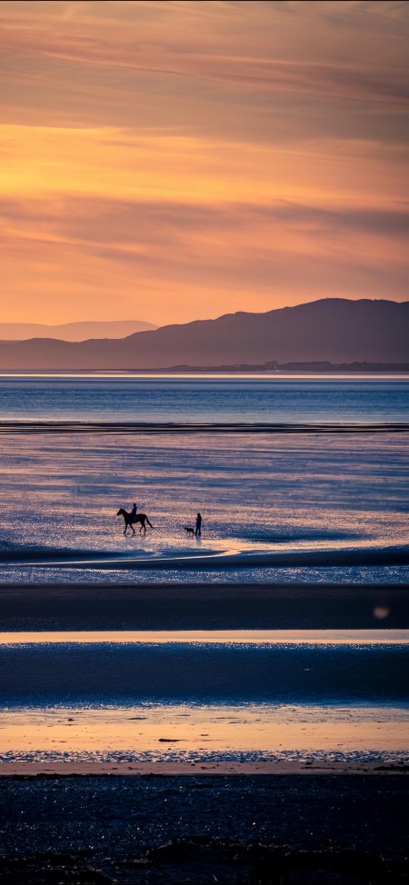 夕阳海滩骑马人影与犬相伴蓝金渐变风景手机壁纸