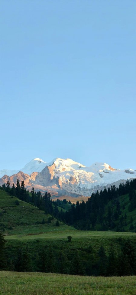 雪山巍峨雪顶映金光绿谷松林环绕蓝白自然风景手机壁纸