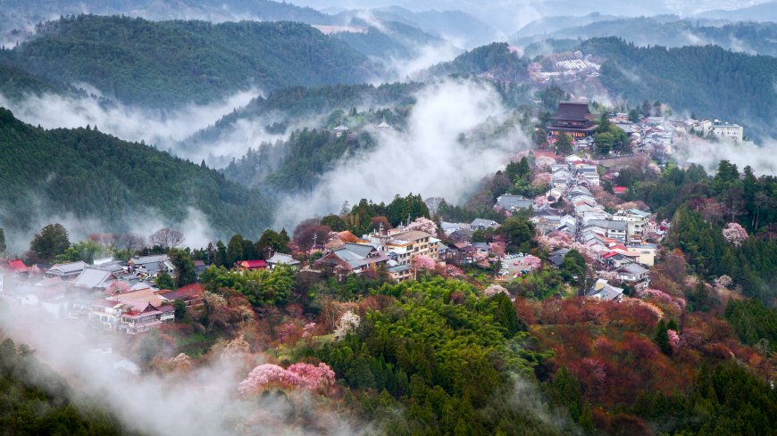 云雾缭绕山间古镇樱花盛开青绿自然风景电脑壁纸