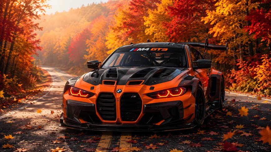 宝马M4GT3橙黑赛车秋林公路汽车电脑壁纸