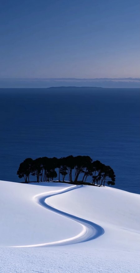雪山蜿蜒小径松林剪影深蓝海天一色风景手机壁纸