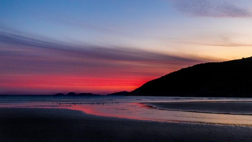 海滩日落余晖映照潮汐紫红渐变风景电脑壁纸