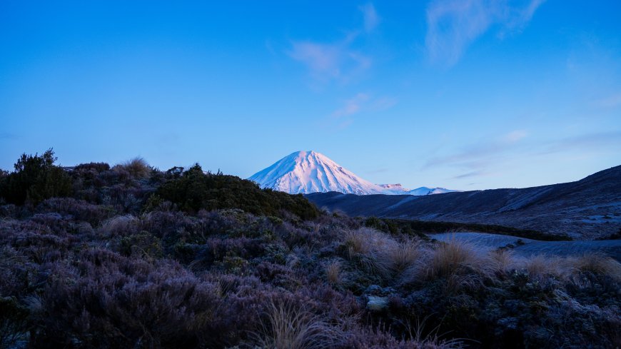 新西兰塔拉纳基山雪顶晨光蓝紫风景电脑壁纸