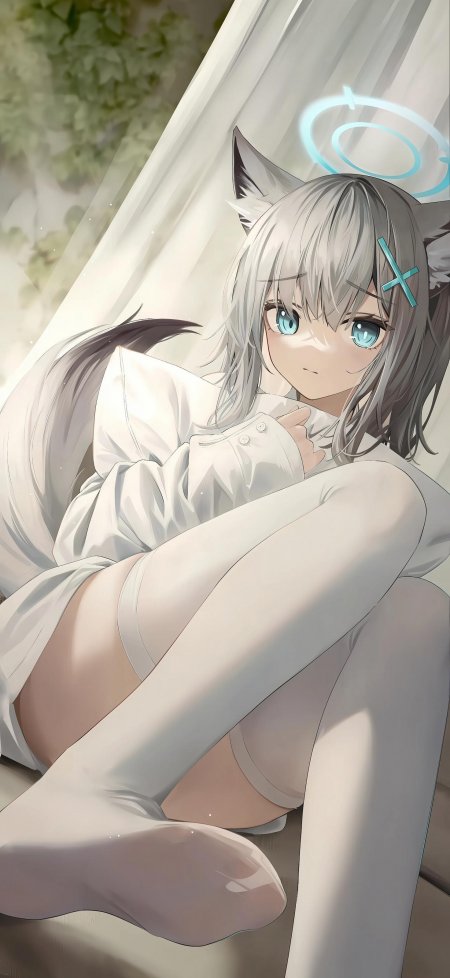 银发蓝眼猫耳少女白裙抱膝坐姿浅灰蓝调动漫手机壁纸