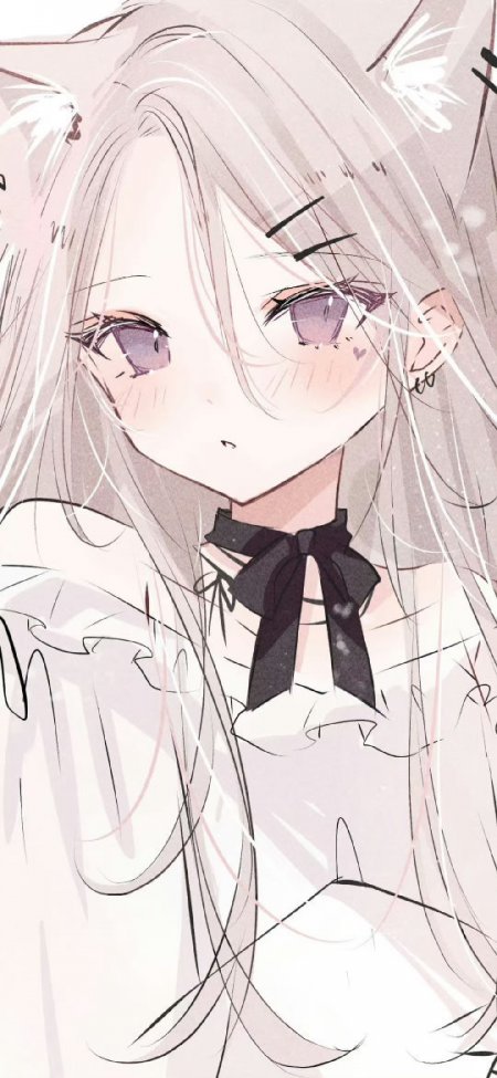 银发紫瞳猫耳少女黑蝴蝶结粉白动漫手机壁纸