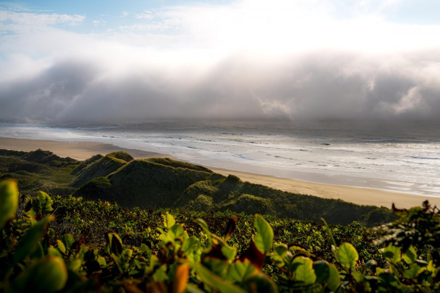 海岸沙丘绿植层叠云雾缭绕海浪拍岸蓝白自然风景电脑壁纸