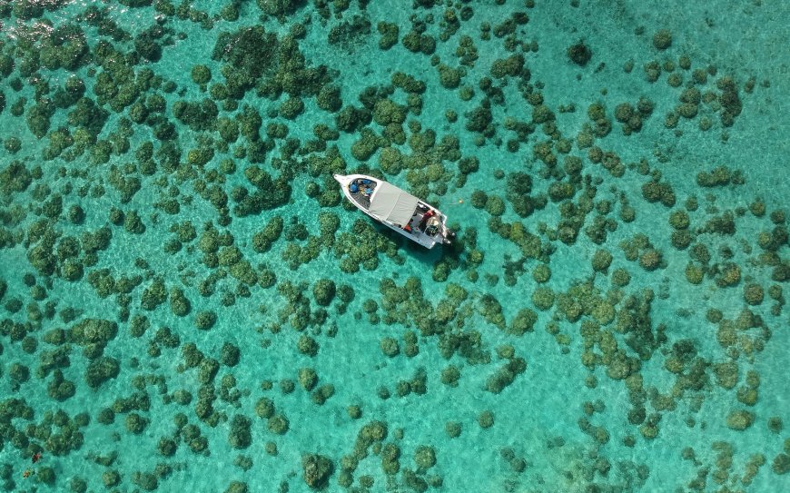 清澈碧海珊瑚礁中白色小船航行情景蓝绿自然风景电脑壁纸