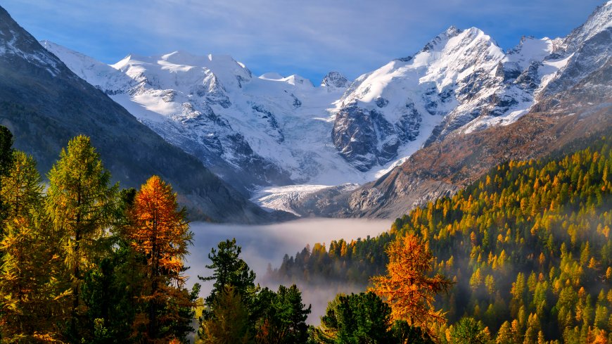 阿尔卑斯雪山冰川云海秋林金黄蓝白风景电脑壁纸