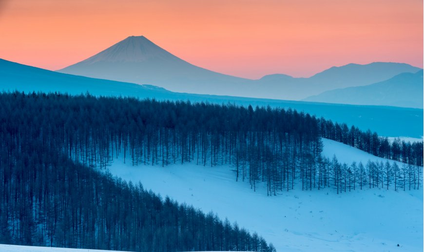 富士山雪景层林覆雪蓝粉渐变风景电脑壁纸