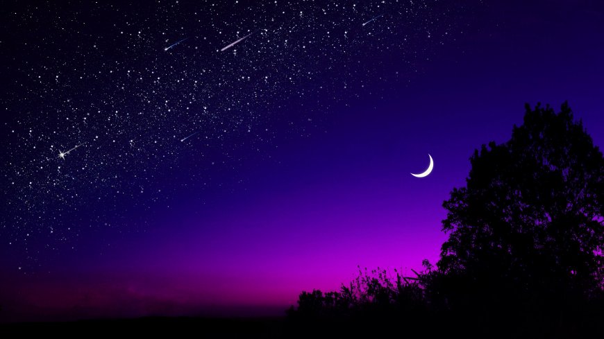 星空璀璨流星划过紫蓝渐变夜空树影剪影风景电脑壁纸