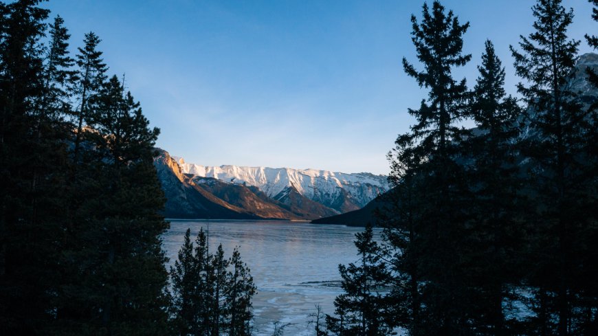 雪山湖泊松林倒影蓝白风景电脑壁纸