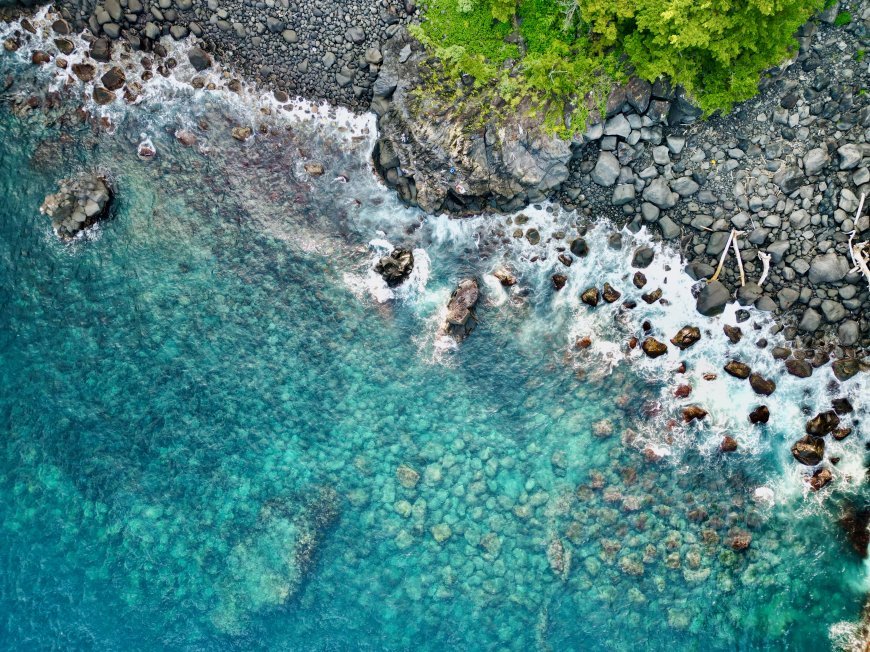 碧海清透礁石嶙峋绿植点缀蓝绿自然风景电脑壁纸
