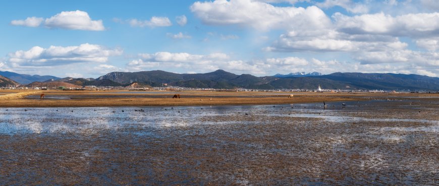 纳帕海湿地候鸟栖息远山白云蓝白风景电脑壁纸