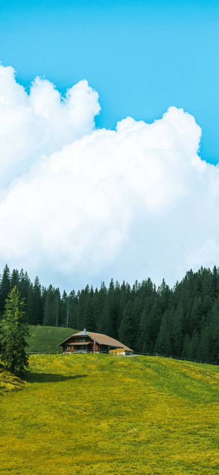 阿尔卑斯山间木屋绿野松林蓝天白云自然风景手机壁纸