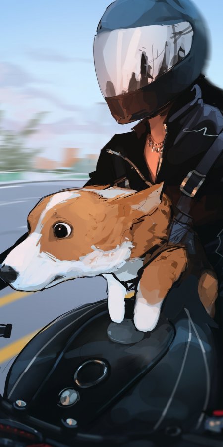 骑摩托车少女怀抱柯基犬疾驰蓝灰插画汽车手机壁纸