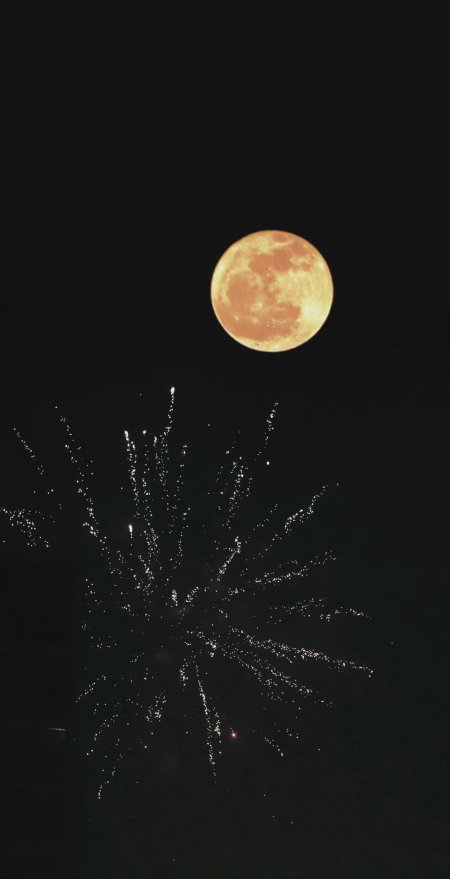 满月高悬夜空烟花绽放橙金暗黑风景手机壁纸