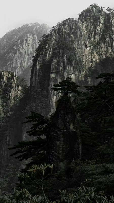 黄山奇松怪石云海苍茫灰绿风景手机壁纸
