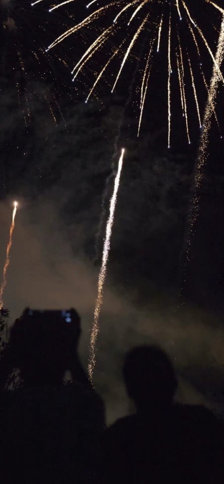 夜空烟花绽放金白光轨人群剪影暗黑情感文艺创意手机壁纸