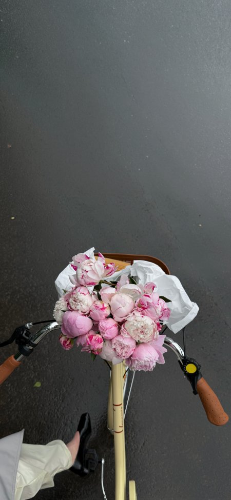 粉色牡丹花束置于自行车前篮灰调街景花卉植物手机壁纸