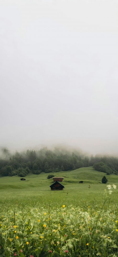 阿尔卑斯山间雾霭草甸木屋野花点缀翠绿自然风景手机壁纸