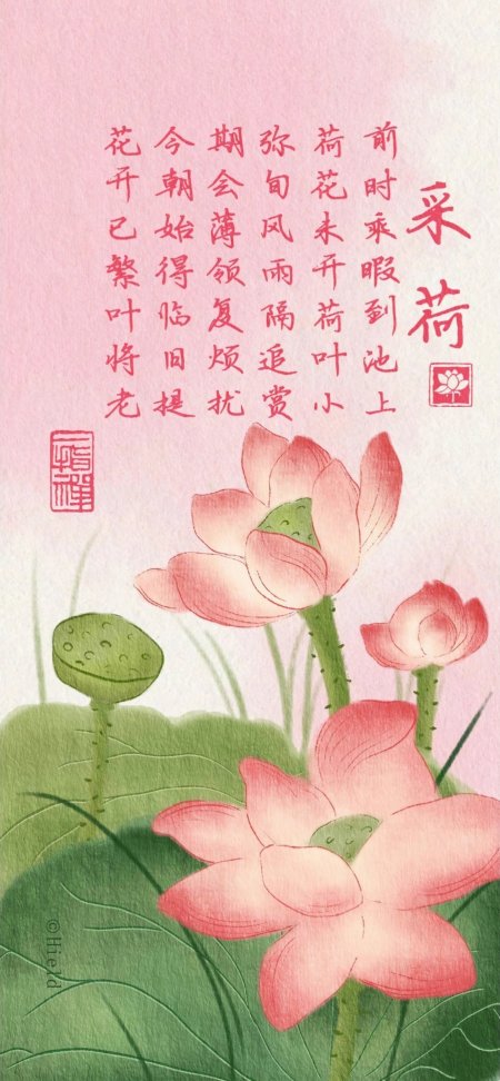 荷花盛开绿叶衬托粉红清新古风手机壁纸