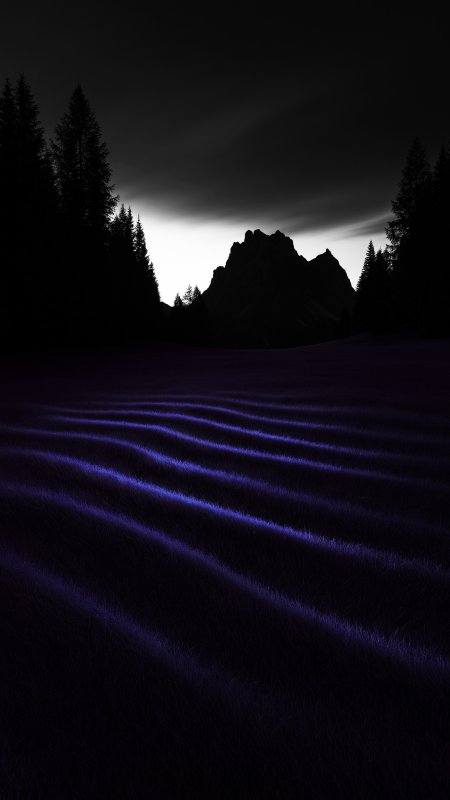 紫光波纹草甸剪影山峰暗黑风景手机壁纸