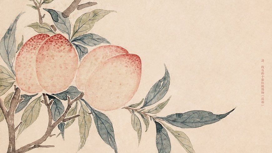 清钱与龄千岩红桃图轴局部桃实饱满枝叶青翠淡雅古风绘画电脑壁纸