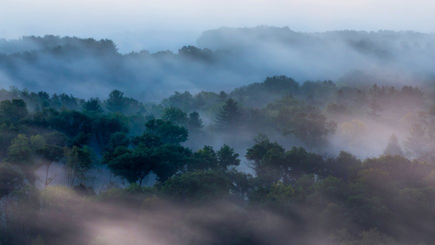 晨雾缭绕山林青翠层叠蓝紫渐变风景电脑壁纸