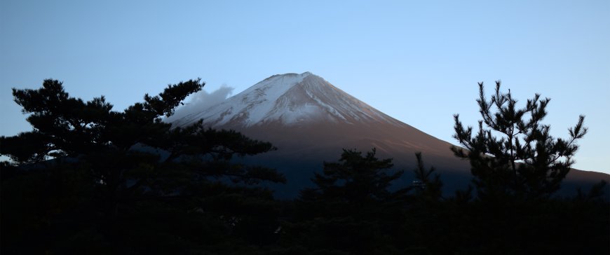 富士山雪顶巍峨松影剪影蓝白风景电脑壁纸