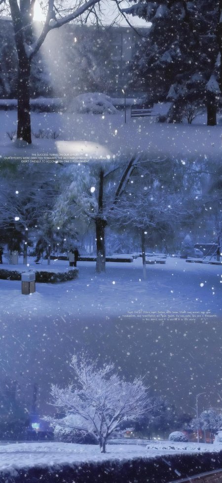 雪中公园银装素裹雪花纷飞蓝紫调静谧风景手机壁纸