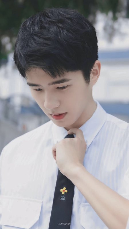 刘昊然白衬衫黑领带少年低头整理领结演员明星手机壁纸