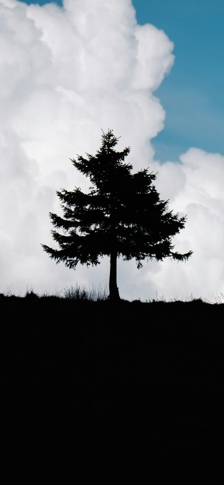 孤树剪影矗立山脊蓝白云天自然风景手机壁纸