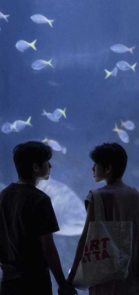 情侣牵手凝望水族馆鱼群蓝调情感文艺手机壁纸