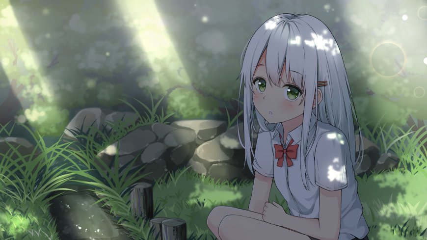 银发绿眼少女坐于林间光斑绿意动漫电脑壁纸