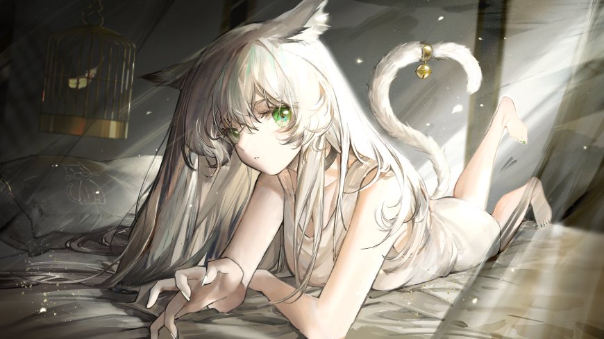 银发绿瞳猫耳少女趴卧床榻灰白柔和动漫电脑壁纸