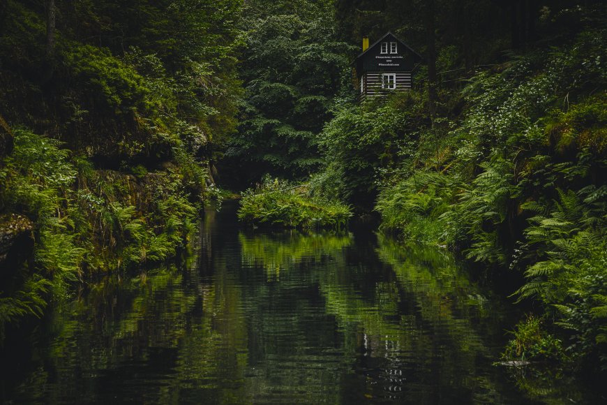 森林溪流旁木屋倒影幽绿自然风景电脑壁纸
