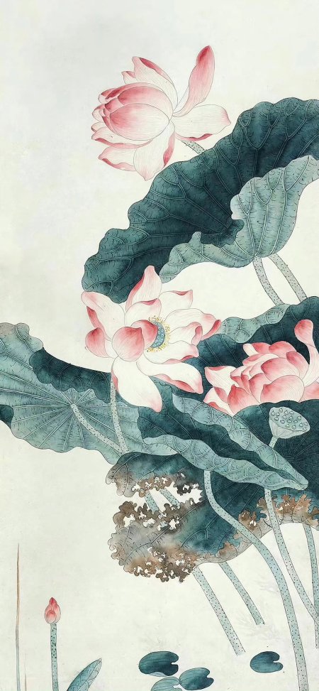 粉白荷花盛放青绿荷叶衬托淡雅古风书画禅意手机壁纸