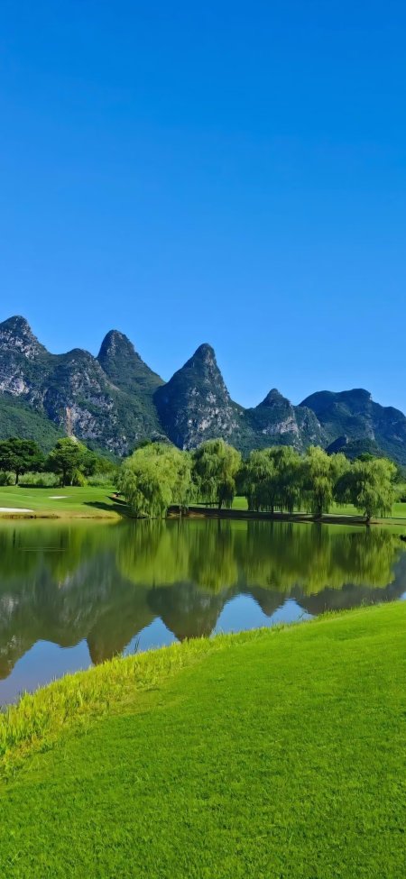 桂林山水倒影湖畔翠绿柳树蓝天风景手机壁纸