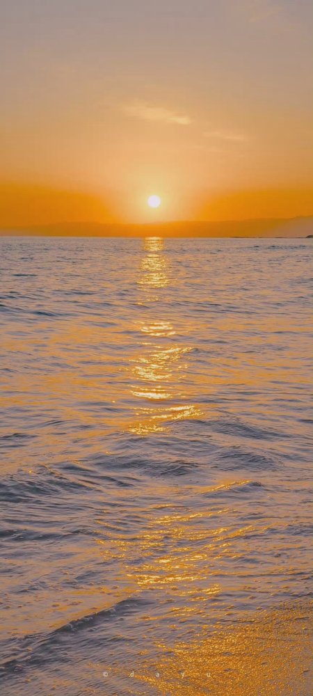 海面日落余晖洒金波光粼粼暖橙风景手机壁纸